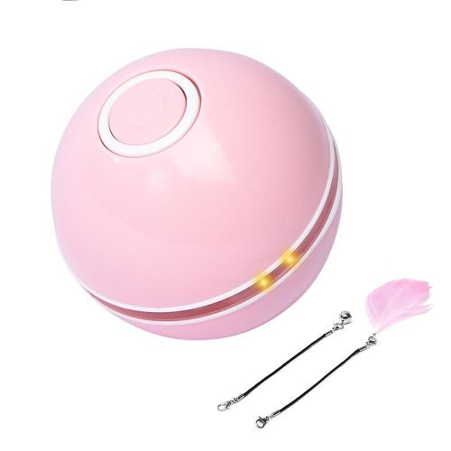 Interactive Remote Control Bouncing Pet Ball for Dogs and Cats