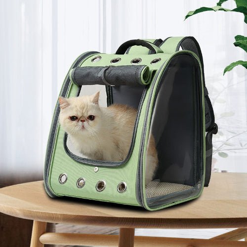 Transparent Pet Backpack Carrier for Small Cats and Dogs Travel Bag - Image 2